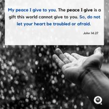 My peace I give to you. The peace I give is a gift this world cannot give to you. So, do not let your heart be troubled or afraid.  John 14:27