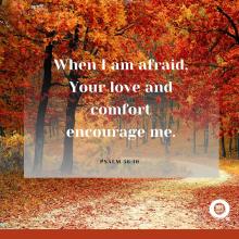 When I am afraid, Your love and comfort encourage me. - Psalm 56:10
