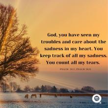 God, you have seen my troubles and care about the sadness in my heart. You keep track of all my sadness. You count all my tears.  Psalm 31:7, Psalm 56:8