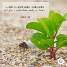 Delight yourself in the Lord and He will give you the desires of your heart.  Psalm 37:8